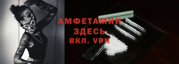стаф Алексин