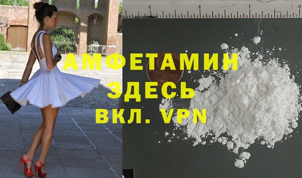 стаф Алексин