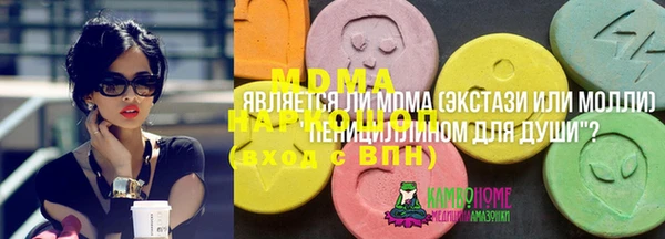 стаф Алексин