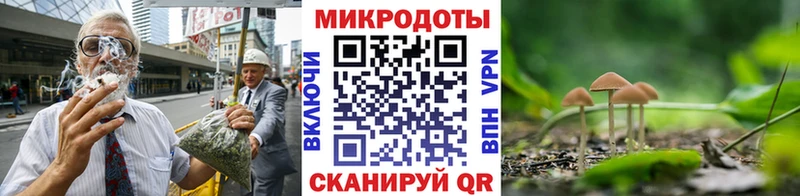 hydra   где купить наркоту  Сухой Лог  Галлюциногенные грибы ЛСД 